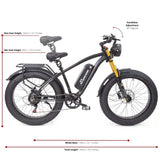 Buffalo Alpha Plus 750w Mountain eBike