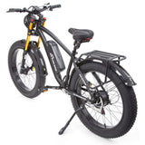 Buffalo Alpha Plus 250w Mountain eBike