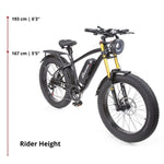 Buffalo Alpha Plus 750w Mountain eBike