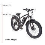 Buffalo Alpha Plus 250w Mountain eBike