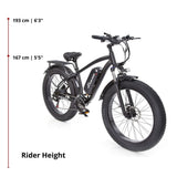 Buffalo 250w Mountain eBike