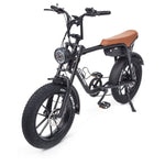 Warthog 250w Cruiser eBike