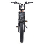 Warthog 250w Cruiser eBike