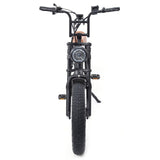 Warthog 250w Cruiser eBike