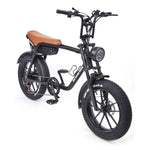 Warthog 250w Cruiser eBike