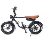 Warthog 250w Cruiser eBike