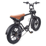 Warthog 250w Cruiser eBike