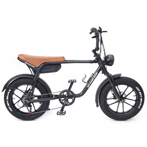 Warthog 250w Cruiser eBike