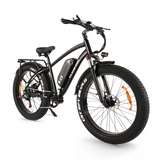 Buffalo 250w Mountain eBike