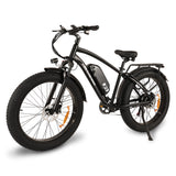 Buffalo 250w Mountain eBike