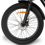 Buffalo 250w Mountain eBike