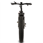 Buffalo 250w Mountain eBike