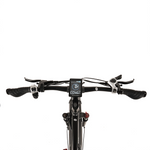 Buffalo 250w Mountain eBike