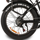 Buffalo 250w Mountain eBike