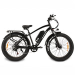 Buffalo 250w Mountain eBike