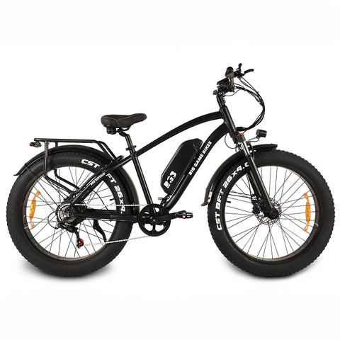 Buffalo 750w Mountain eBike