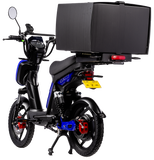 Eskuta SX-250 Series 4 Cargo Electric Bike