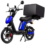 Eskuta SX-250 Series 4 Cargo Electric Bike