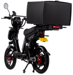 Eskuta SX-250 Series 4 Cargo Electric Bike