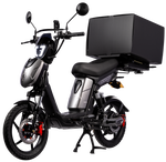 Eskuta SX-250 Series 4 Cargo Electric Bike