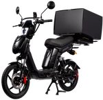 Eskuta SX-250 Series 4 Cargo Electric Bike