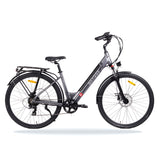 Aarhus Step E-Bike Graphite Grey