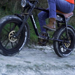 Warthog 250w Cruiser eBike